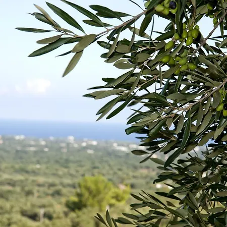Casa Relax Il Trullo